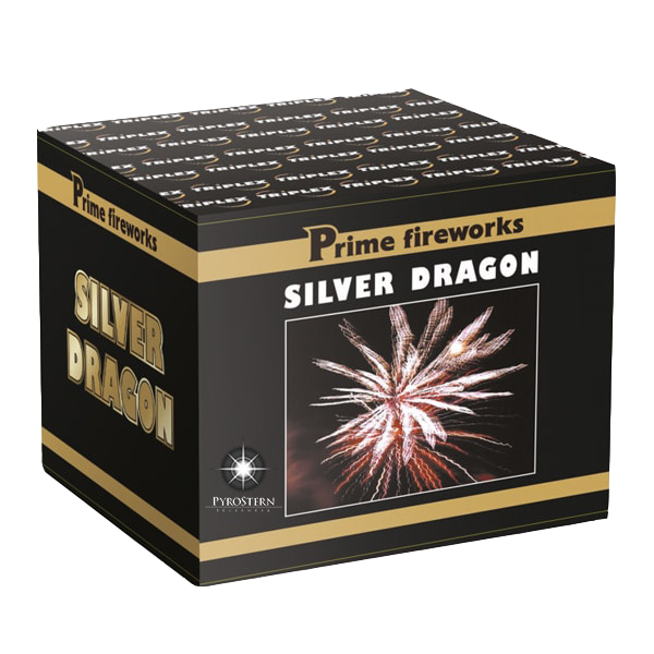 Silver Dragon